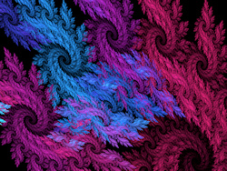 Swirling fractal patterns of dark pink, purple, and blue against a black background, like the eye of a hurricane or an Oriental dragon....