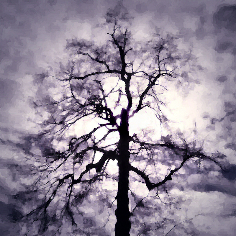 A photograph of a winter tree with the sun behind it, digitally manipulated to look like a fantastical specter with its hand upraised,
the bright light shining through the branches and darker grey and lavender clouds swirling around the 'fingers'.