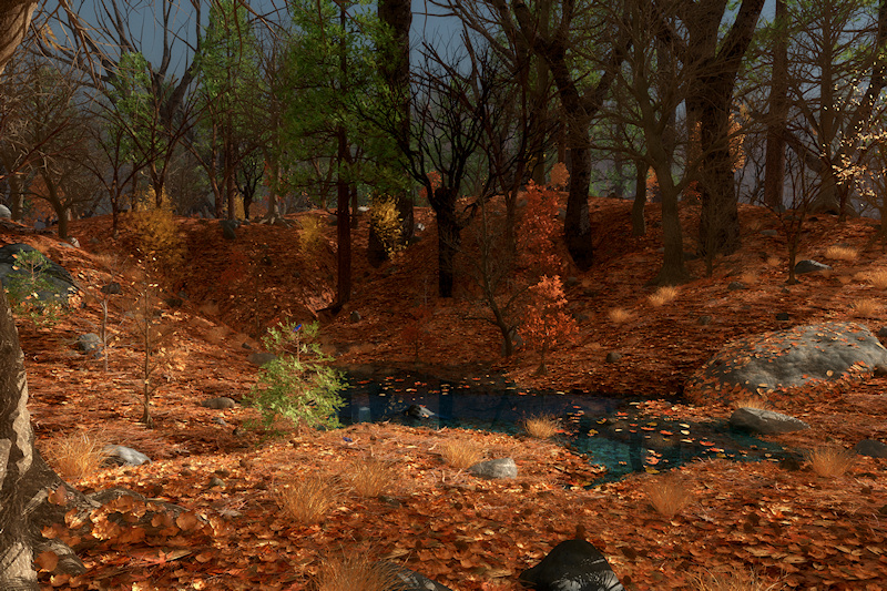A secluded dell on a autumn afternoon, perfect for a quiet walk through the woods. The warm setting sun lights the fallen leaves and a small pool. A bluebird couple looks for food amid the leaves and pine cones.