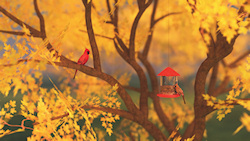 In a vivid yellow maple a male cardinal perches, keeping watch over his mate on the nearby bird feeder....