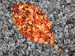 A selectively colored autumn photograph of fallen crepe myrtle leaves, with a gold-framed leaf shape of bright red, orange, and yellow against a black...