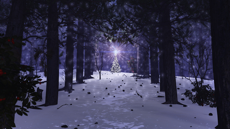 A sparkling Christmas tree in a snow-covered pine forest on a winter's evening.