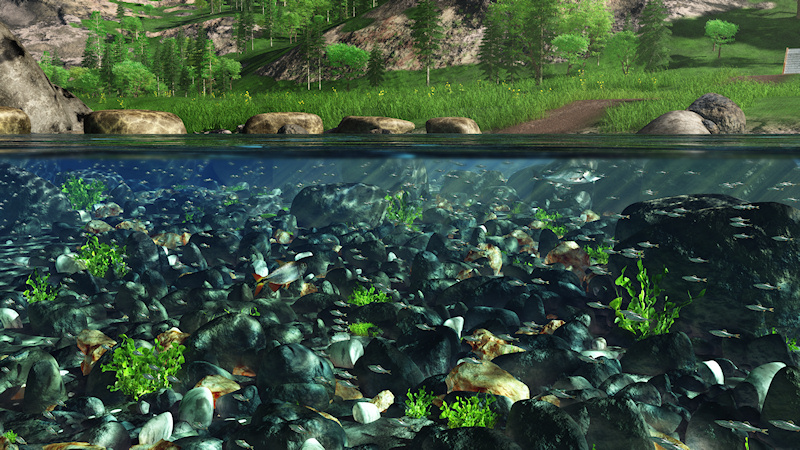 A split underwater scene with a green valley above and the cold depths of a rocky mountain river below. Sun rays dance through the water and shoals of silver fish swim among the stones and weeds of the river bed.