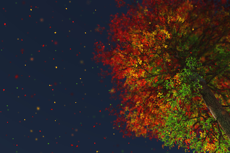 Looking up through the branches of a towering tree in autumn. The falling leaves of burgundy, red, gold, orange, yellow, and blue sparkle against the deep blue sky.