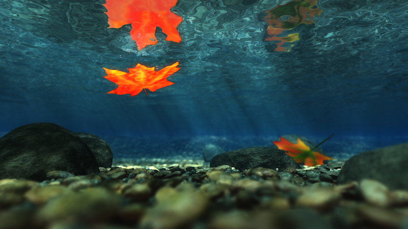 A bright orange leaf sinking beneath a rippling brook, with rays of sunlight falling through the waters to the rocks on the stream bed.