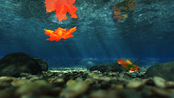 A bright orange leaf sinking beneath a rippling brook, with rays of sunlight falling through the waters to the rocks on the stream bed....