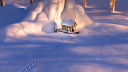 Hidden in a tiny clearing by the roots of a old tree in a snow-covered wood sits a miniature cottage. Welcoming light shines through the windows onto ...