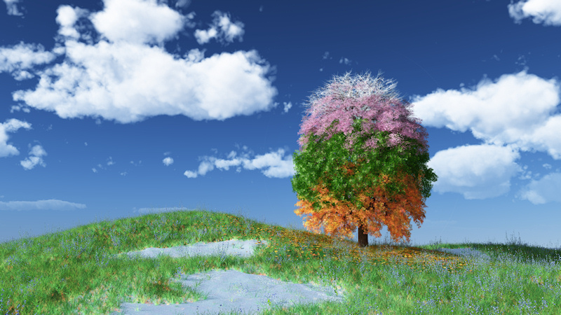 Four seasons appear on a lone tree standing in a grassy meadow. The top branches are bare and snow-covered, giving way to pink blossoms, which turn to dark green leaves, which turn orange and gold and fall to the ground. Amid the autumn leaves on the ground are blue spring flowers and melting snow.