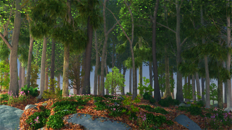 A stand of trees on an sunny summer day. The tall trees are tall and dark, but the saplings underneath have bright new growth. Growing up through the fallen leaves are the green and pink and white of clover and other ground covers.